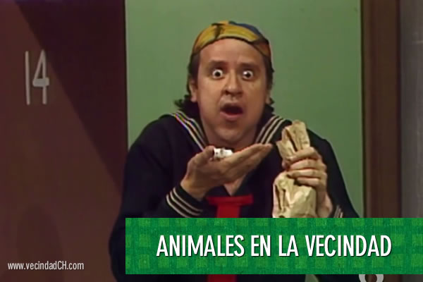 Vecindad CH: Las Mascotas de la Vecindad